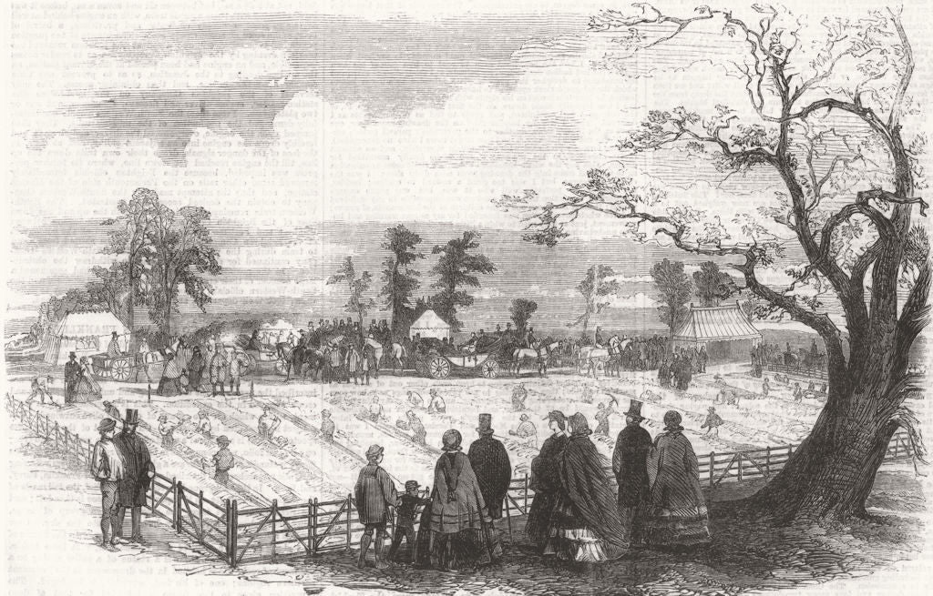 STAFFS. Ditch dig, Sutherland Estate, Trentham 1859 old antique print picture